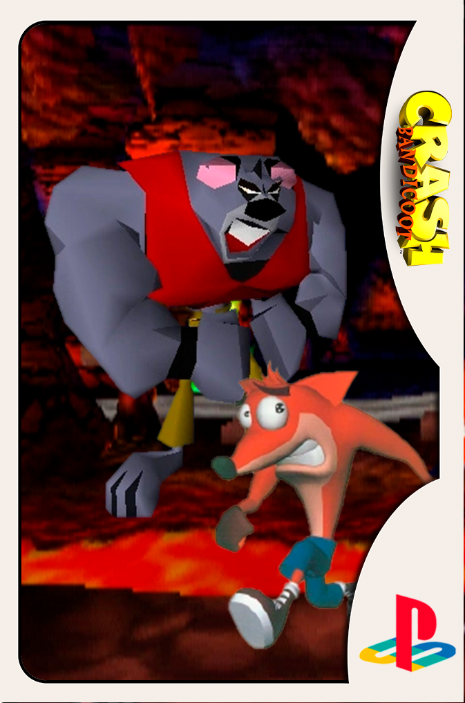 koala2